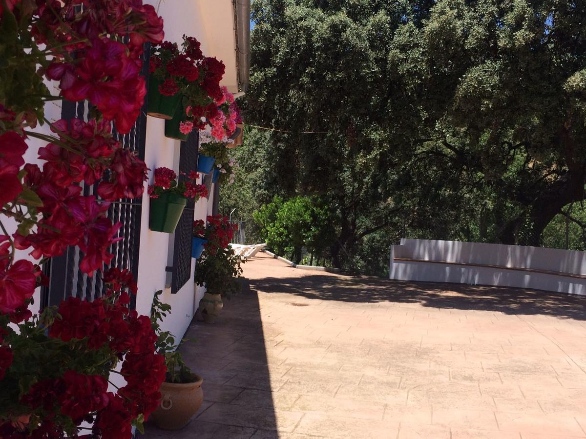 Villa La Quinta Priego de Córdoba Esterno foto