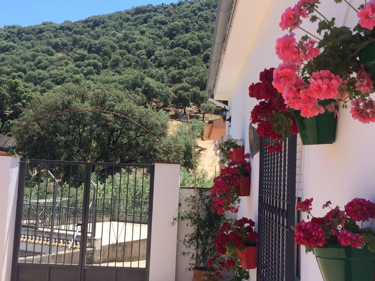 Villa La Quinta Priego de Córdoba Esterno foto