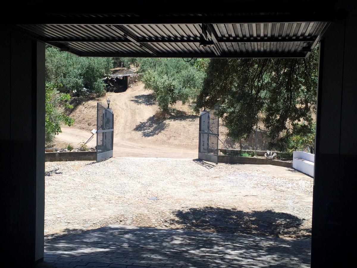 Villa La Quinta Priego de Córdoba Esterno foto