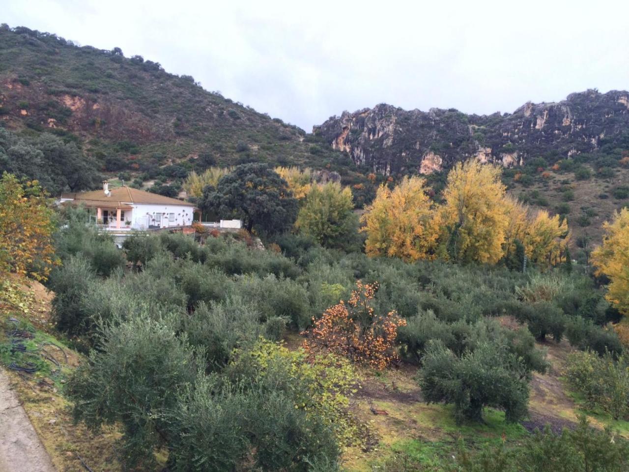 Villa La Quinta Priego de Córdoba Esterno foto
